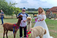 53bea0c4-44bf-47ec-b54b-3dc6169d1b2f